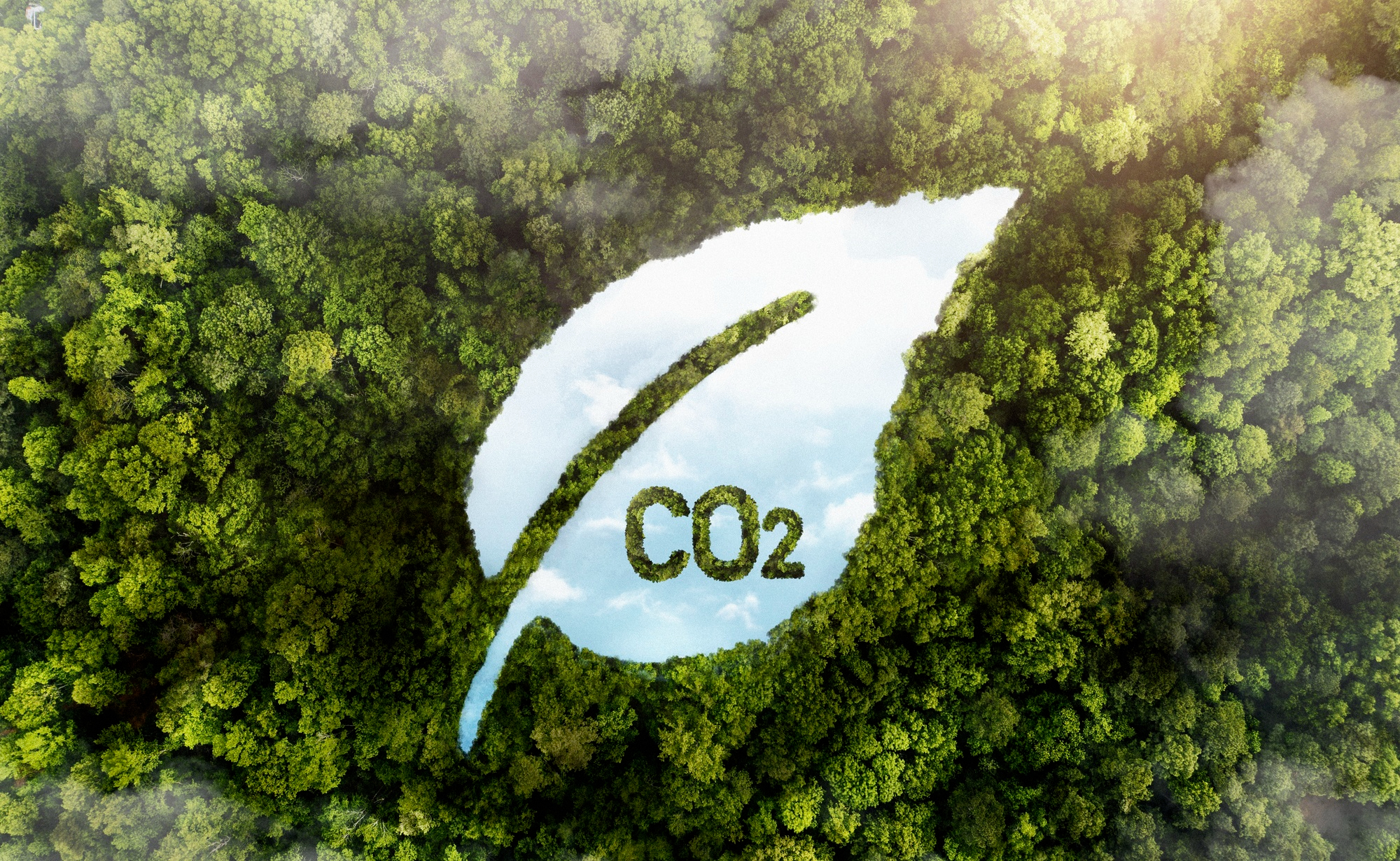 Net Zero vs ESG When comparing the business impact of ESG and Net Zero, the answer depends on the type of outcome an organization is looking for, as each approach creates value in different ways. ESG focuses on building overall sustainability through risk management and stakeholder trust. While it may not always translate into direct short-term financial returns, it plays a critical role in long-term business